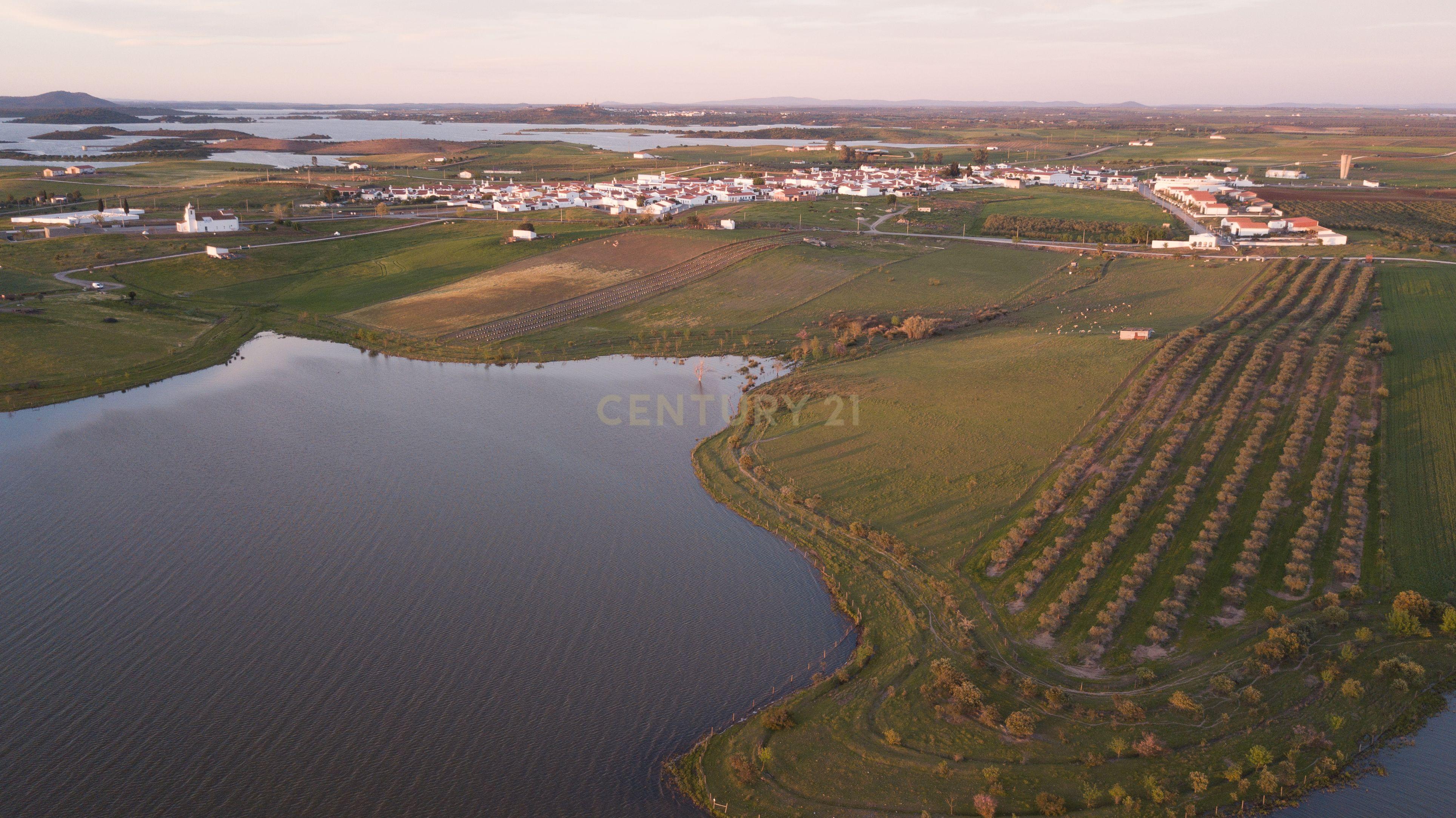 Fotografia 9 de Terreno Rústico com Vista Privilegiada para o Alqueva - Luz, Alentejo
