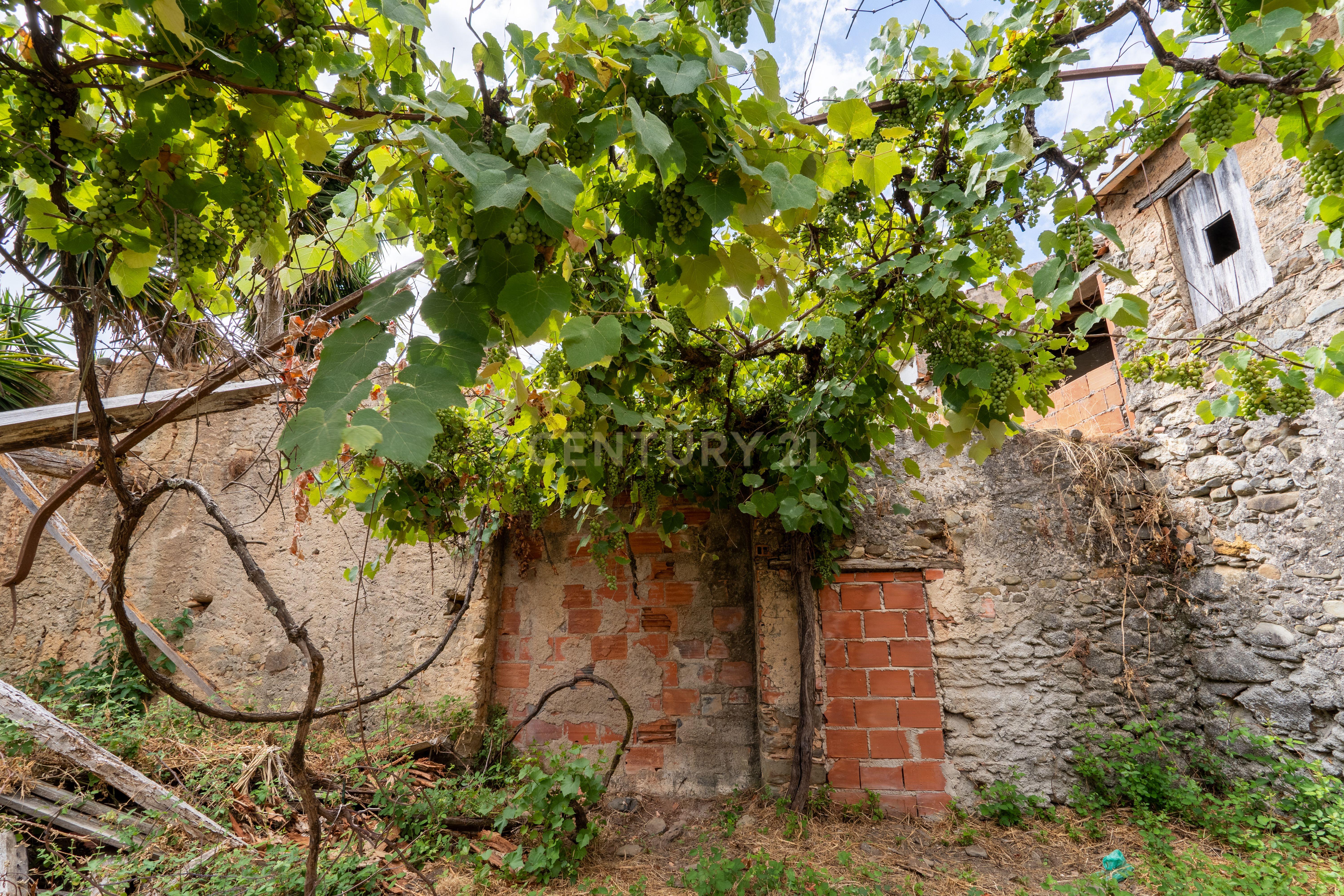 Fotografia 7 de Casa Antiga para Recuperar em Miranda do Corvo, Coimbra