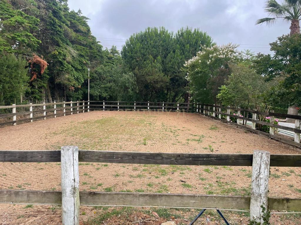 Quinta de Charme - Refúgio de Sonho no Coração do Bombarral - Image 43