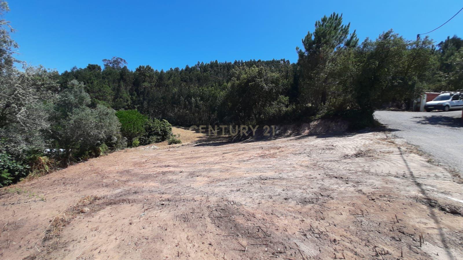 Fotografia 5 de Terreno com projeto aprovado de Moradia Isolada T3 - Picão