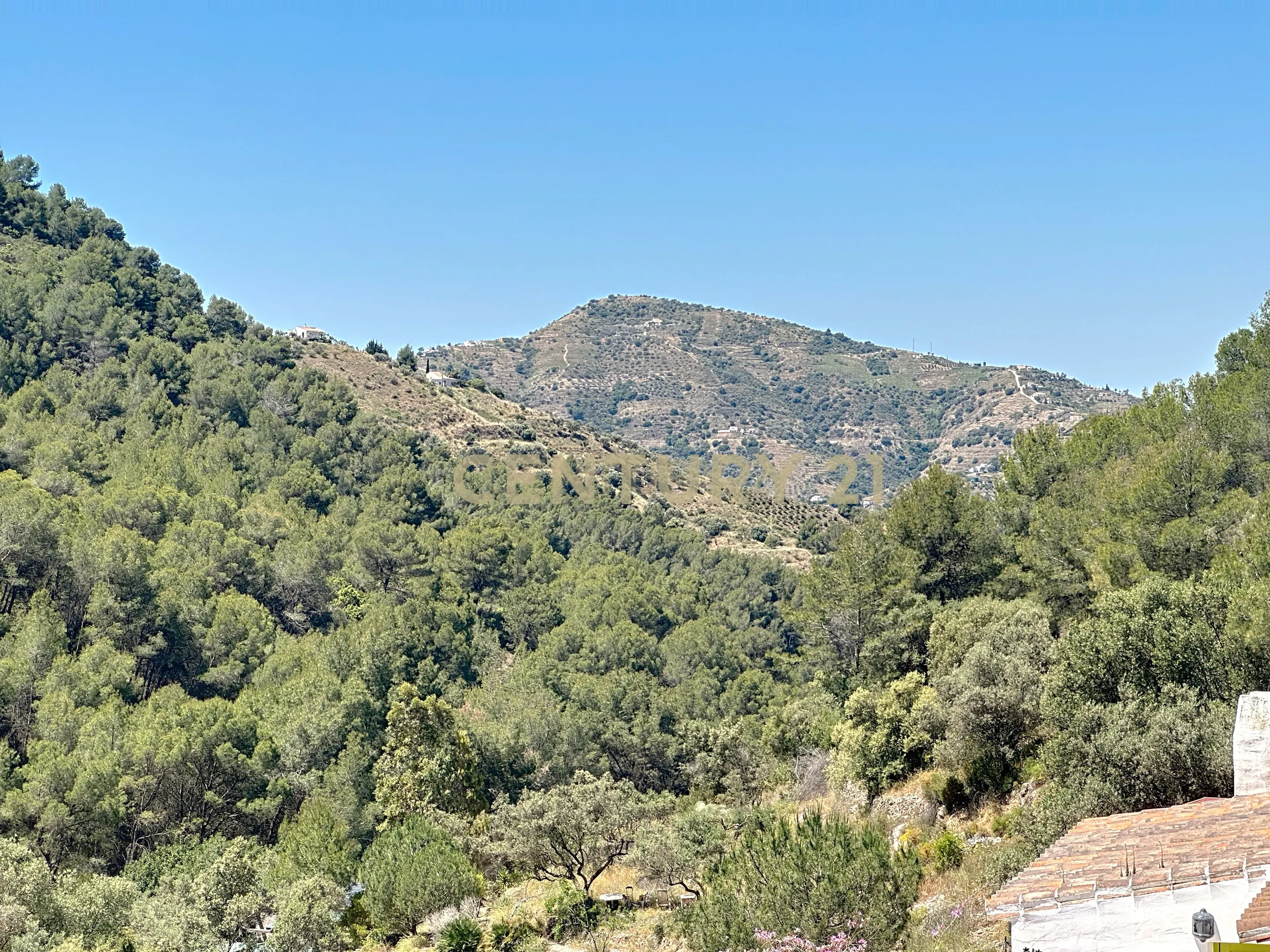 Encanto rural em El Acebuchal – Uma casa com uma história e vistas inigualáveis - Image 31