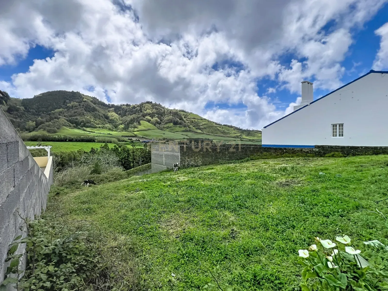 Fotografia 11 de Lote para Construção com vista para a montanha.