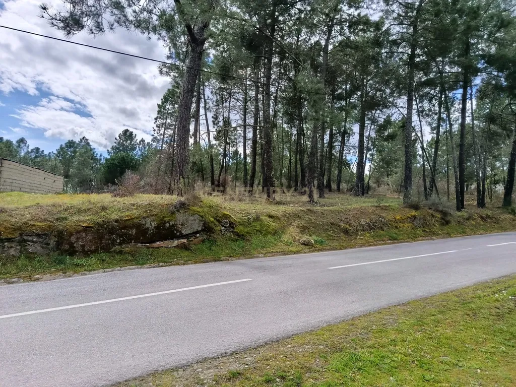 Terreno para Construção em Vale de Gouvinhas - Mirandela - Image 15
