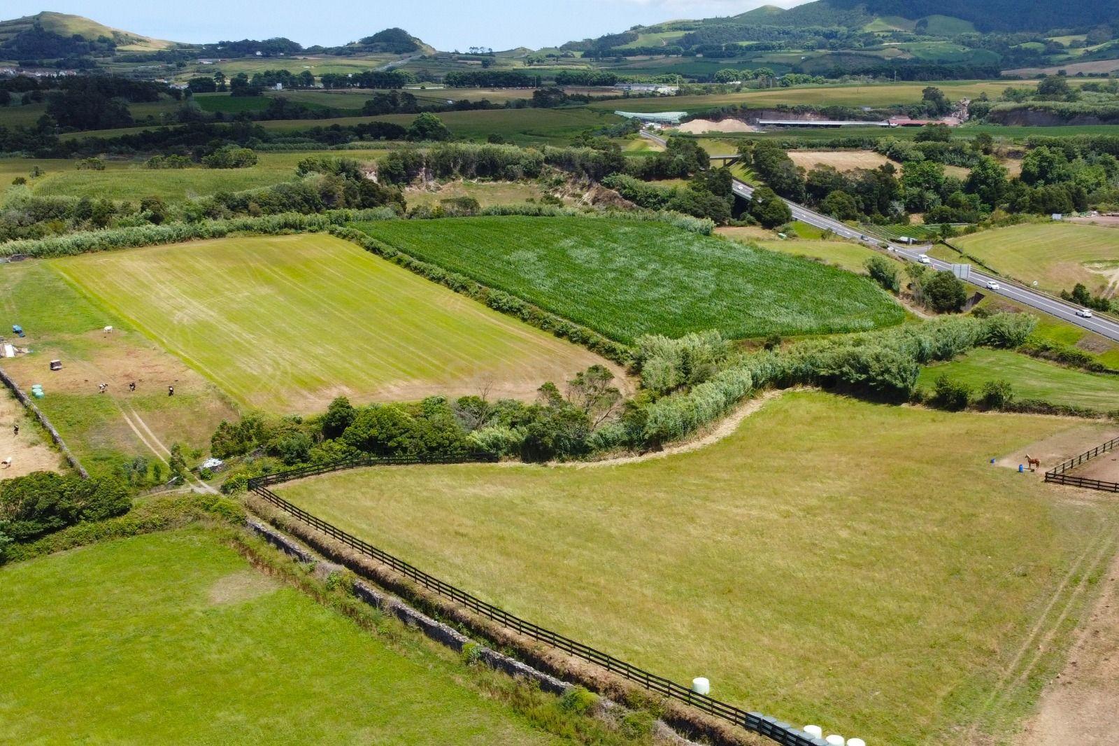 Fotografia 3 de Terreno Rústico com 15.580 m² em Ribeira Grande