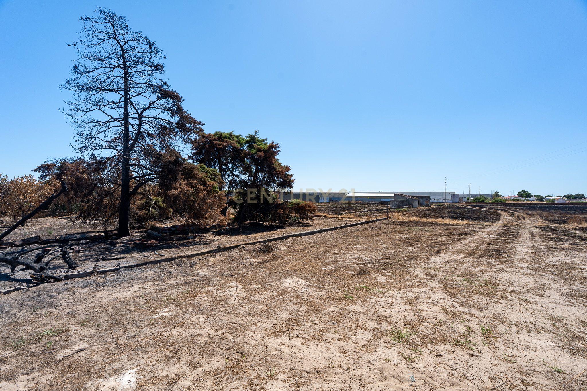 Fotografia 7 de 💥 Terreno Rústico com 10.105 m² em Zona Industrial – Montijo - Excelente Investimento! 💥