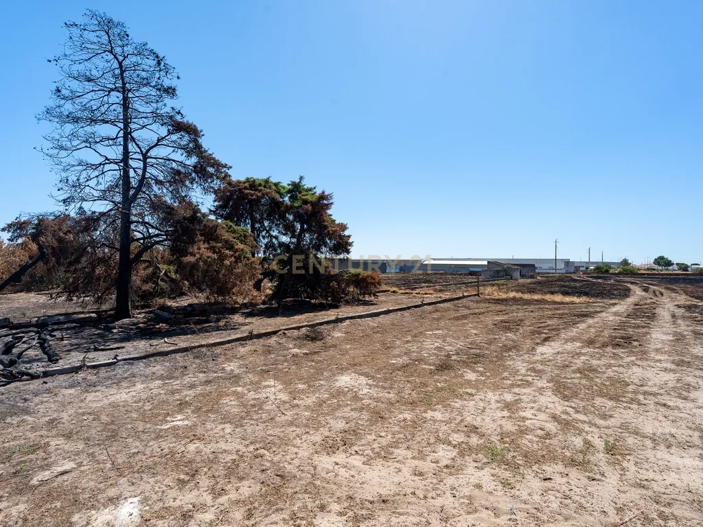 💥 Terreno Rústico com 10.105 m² em Zona Industrial – Montijo - Excelente Investimento! 💥 - Image 7