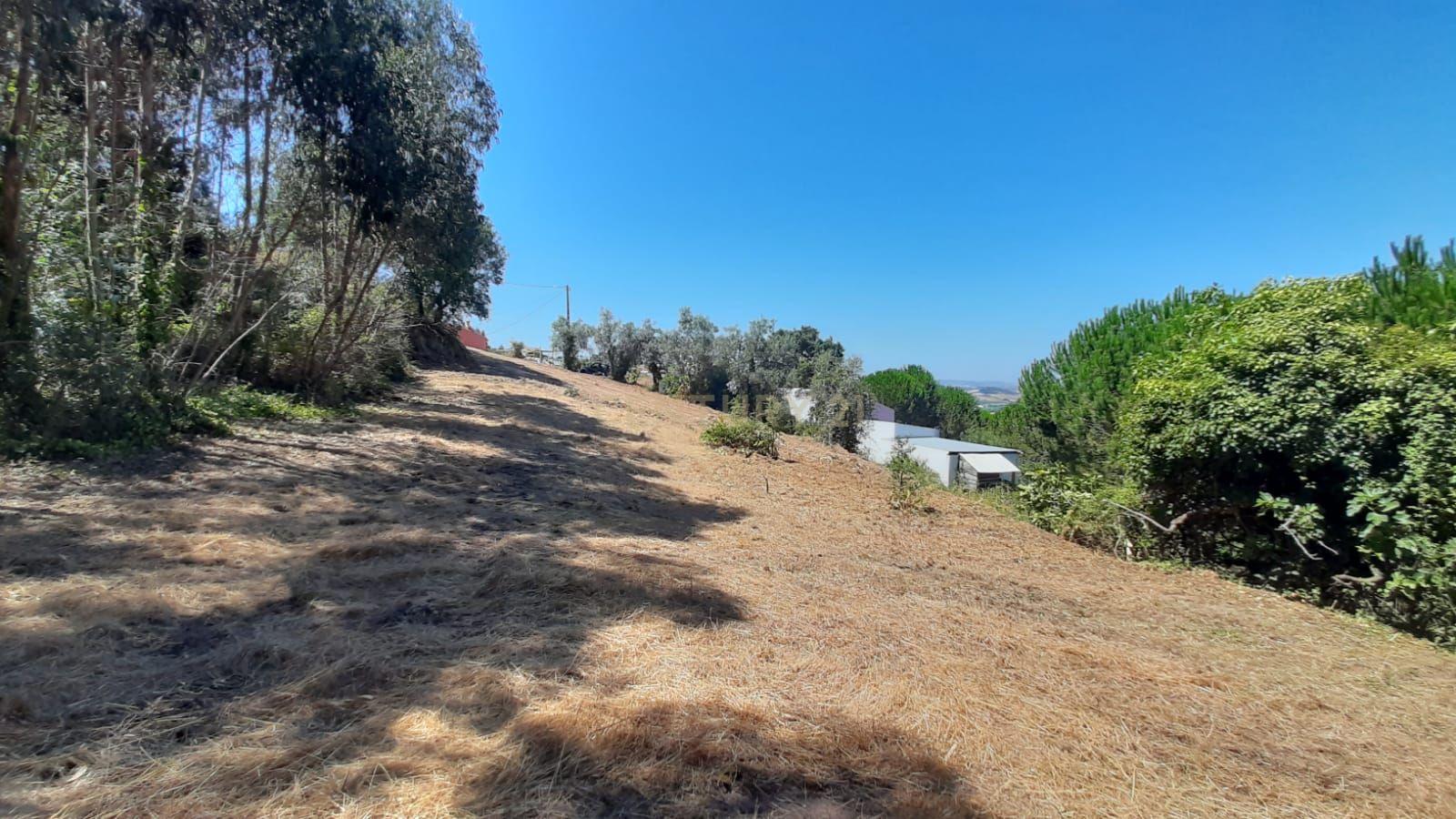 Fotografia 9 de Terreno com projeto aprovado de Moradia Isolada T3 - Picão