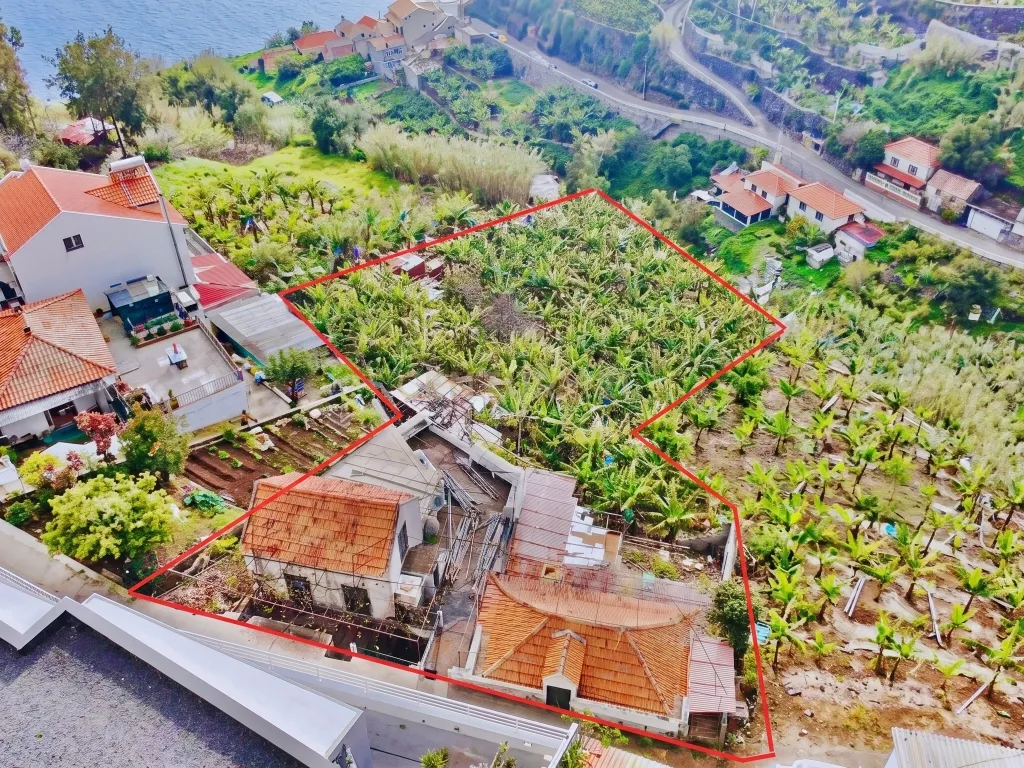Terreno Amplo com Moradia Tradicional e Palheiro - Ponta do Sol - Image 2
