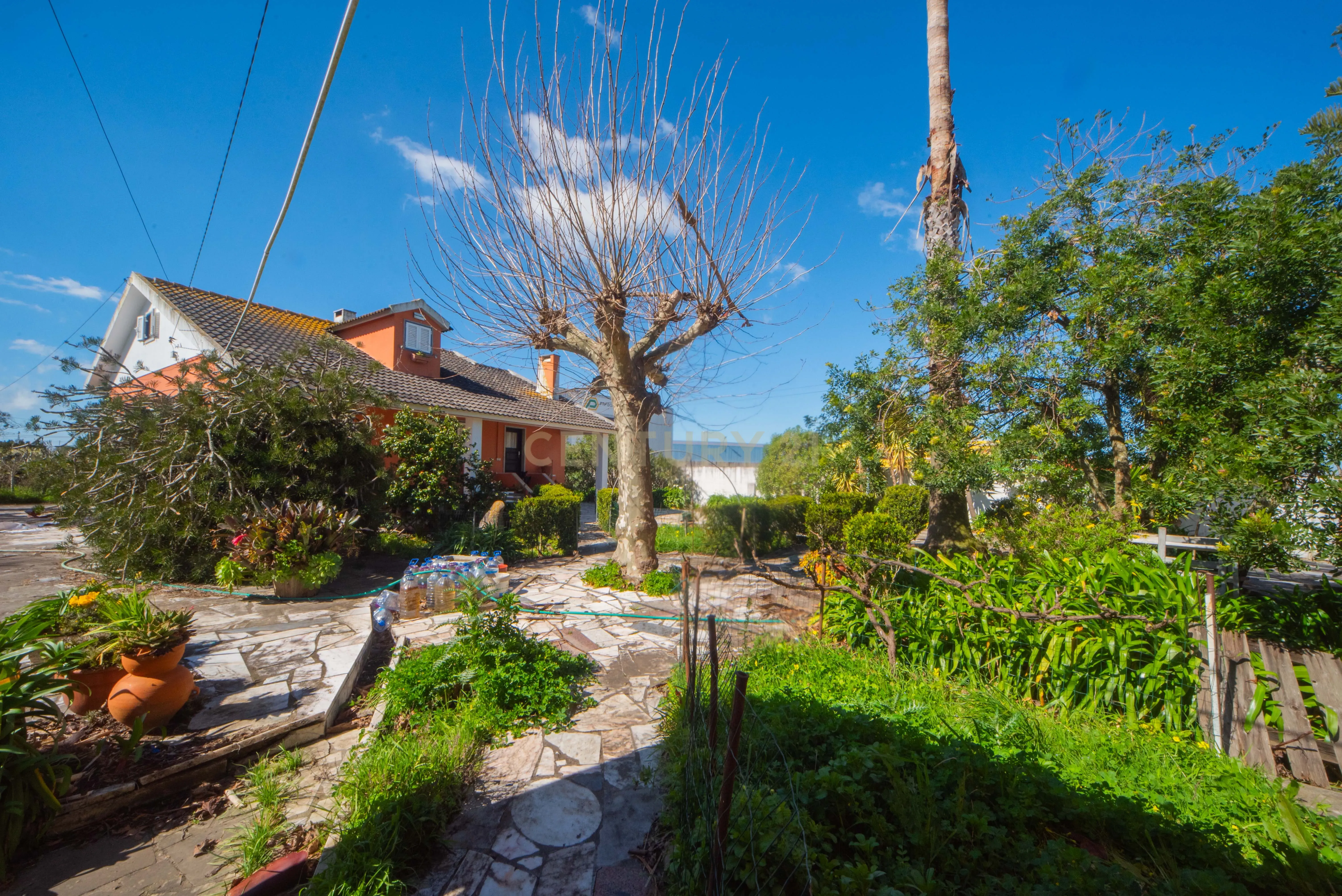 Fotografia 7 de Moradia Tradicional T4 em terreno de 5.120m² e Anexo T2 Independente – S. João das Lampas  Refúgio,e a minutos das Praias de Sintra.