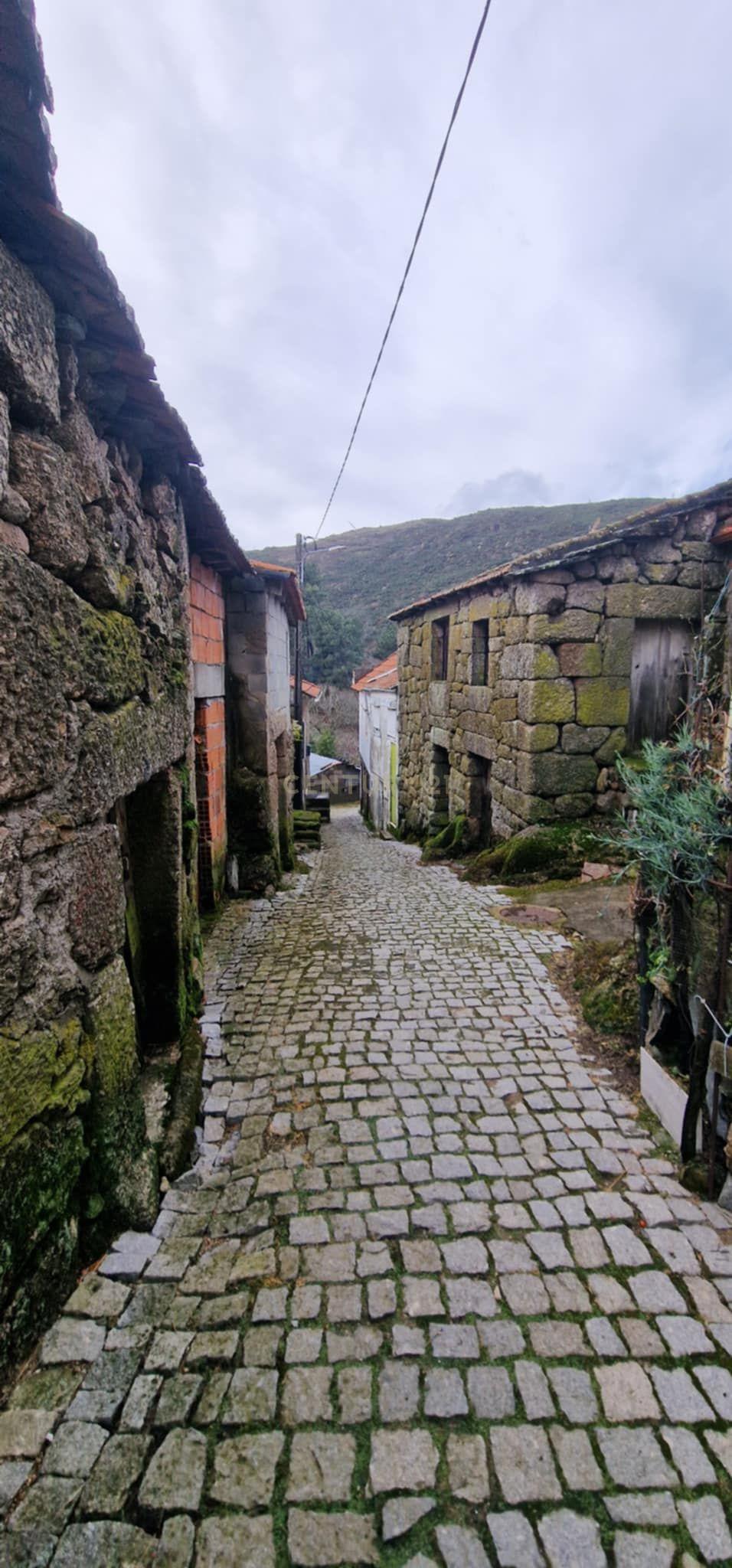 Casa/Arrecadação em Pedra com Espigueiro - Lazarim,Lamego - Image 6