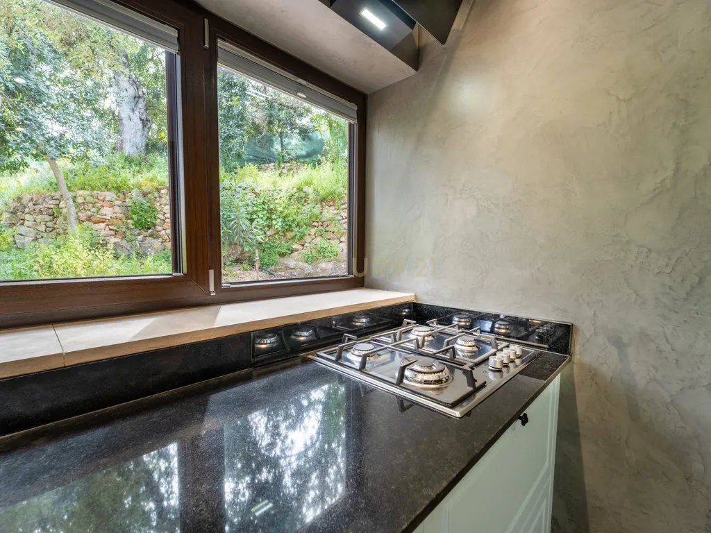 Propriedade com três habitações, piscina aquecida e sauna, num terreno de 10.000 m² - Image 70