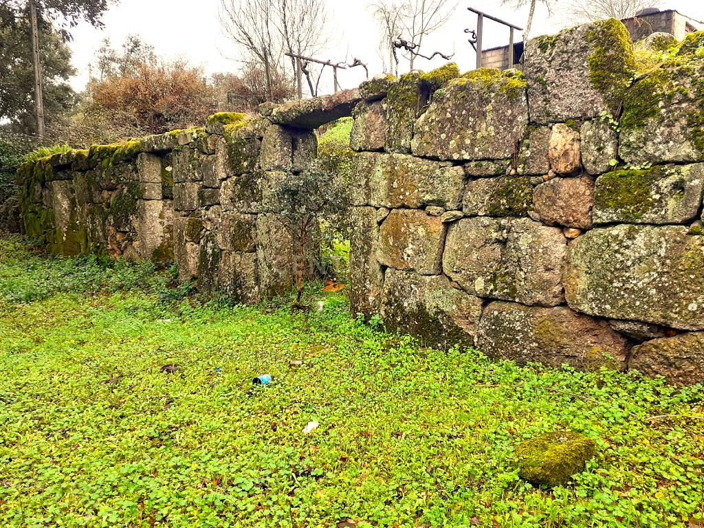 Belíssima ruína em terreno verdejante com vista deslumbrante para o Rio Douro, Baião, Porto - Image 2