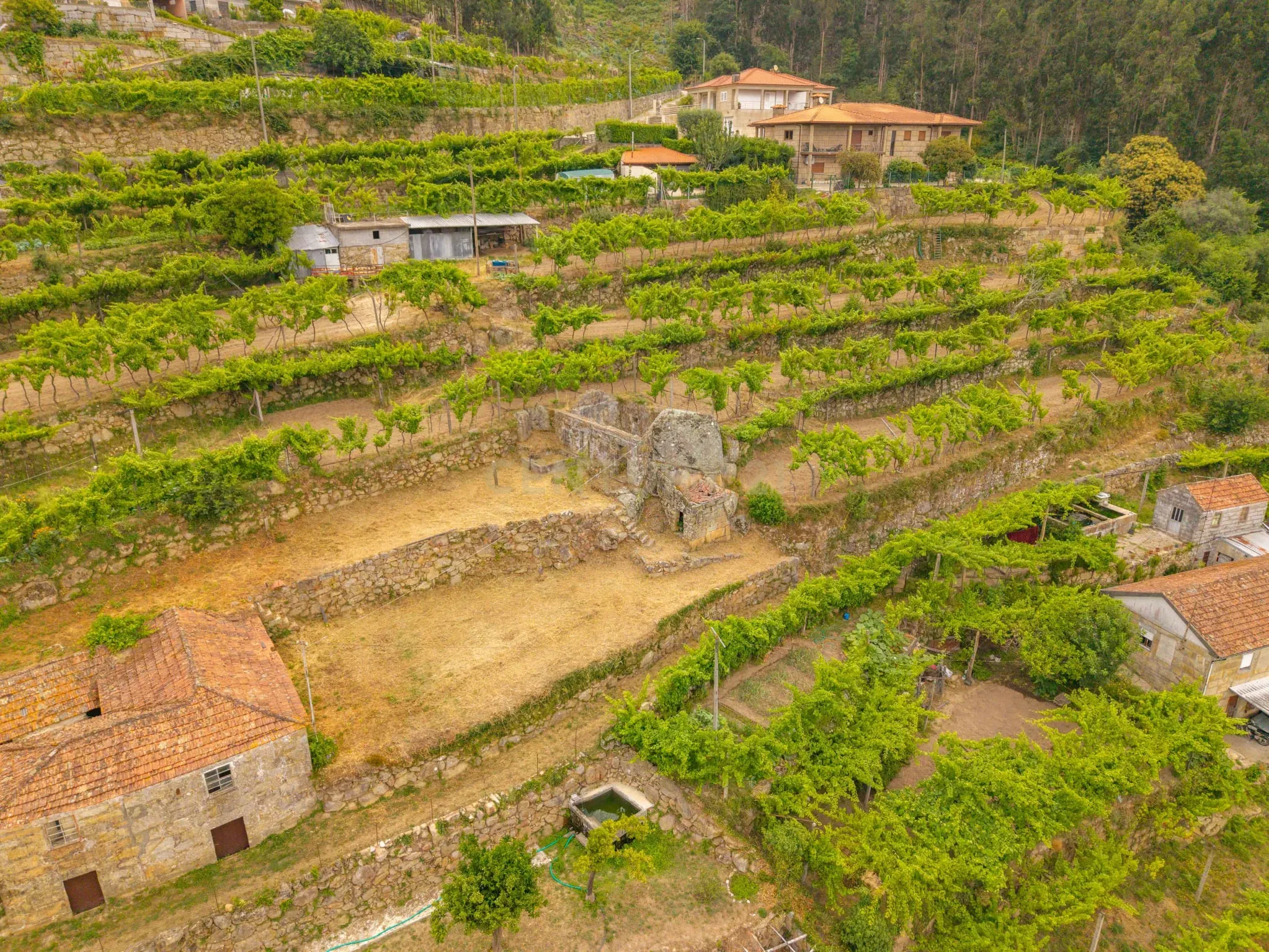 Fotografia 6 de Casa em Ruína em Penha Longa, Marco de Canaveses