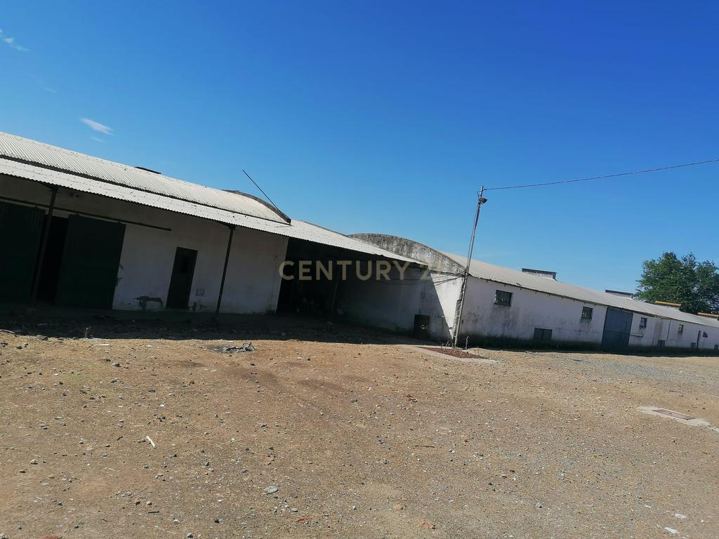 Beja, 2040,150 m2 de Armazéns Diversos instalados em 7190,690 m2 de terrenos Urbanos e ainda 2,5 hectares de terrenos Rústicos - Image 4