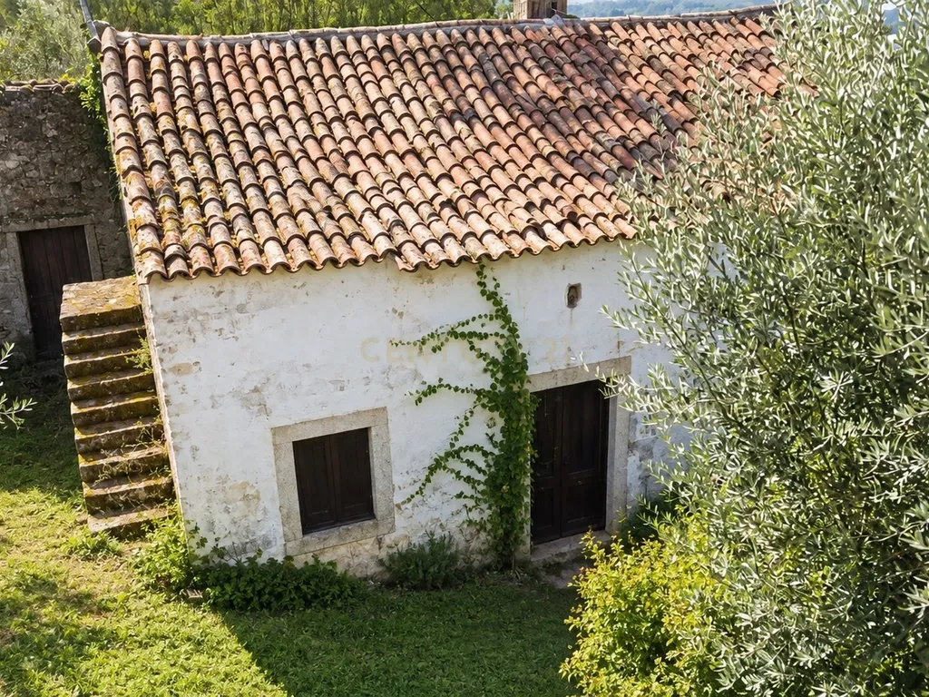 Propriedade para Recuperação em Areias, Ferreira do Zêzere - Image 1
