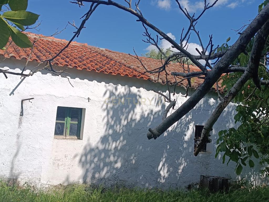 Quintinha em Elvas - Image 9
