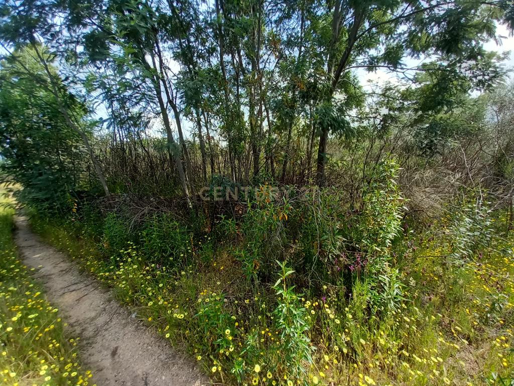 Terreno Rustico com 13300m2 Palvarinho-Salgueiro do Campo - Image 9