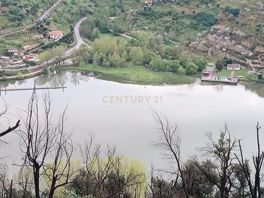 Terreno florestal com vista para a praia fluvial de Porto de Rei em Barqueiros, Mesão Frio às portas do Douro - Image 5