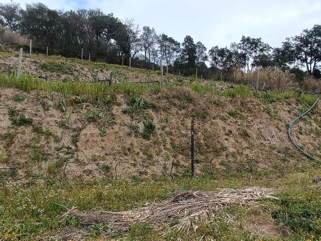 Casa com terreno de construção e agrícola perto do rio Douro em Granja, S. Tomé de Covelas, Baião, Porto - Image 26