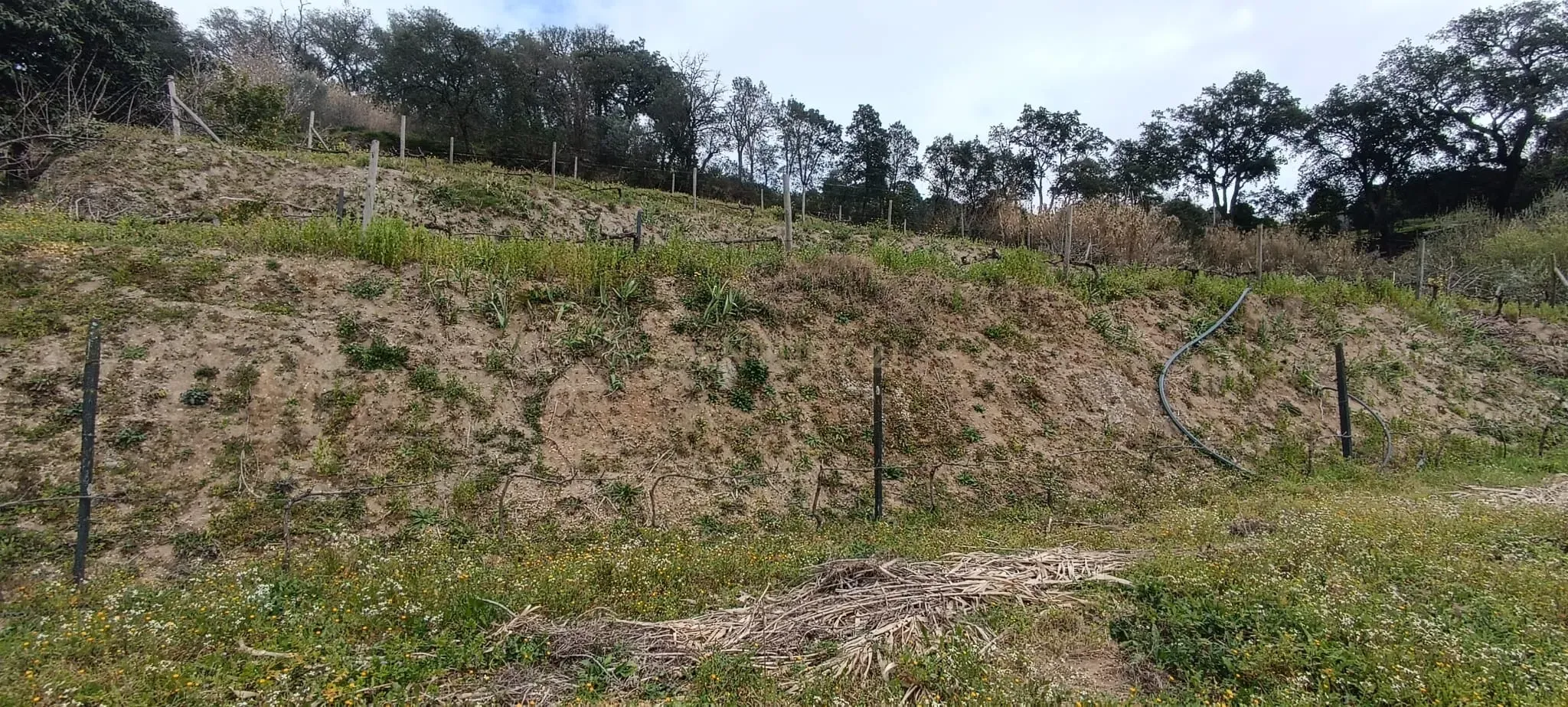 Terreno agrícola com àgua e viabilidade de construção em Granja, S. Tomé de Covelas, Baião, perto do do rio Douro, Porto - Image 39
