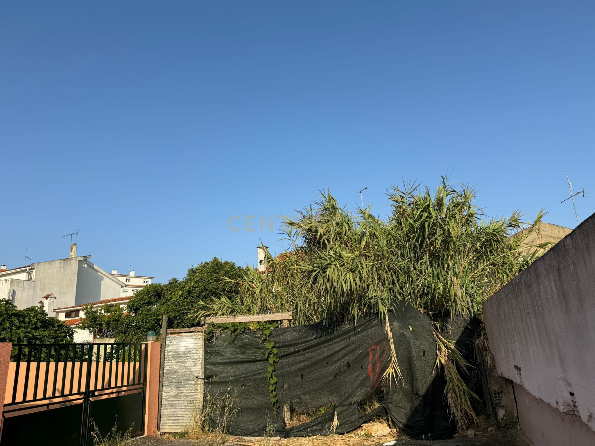 Terreno com Projeto para duas moradias - Cascais - Image 6