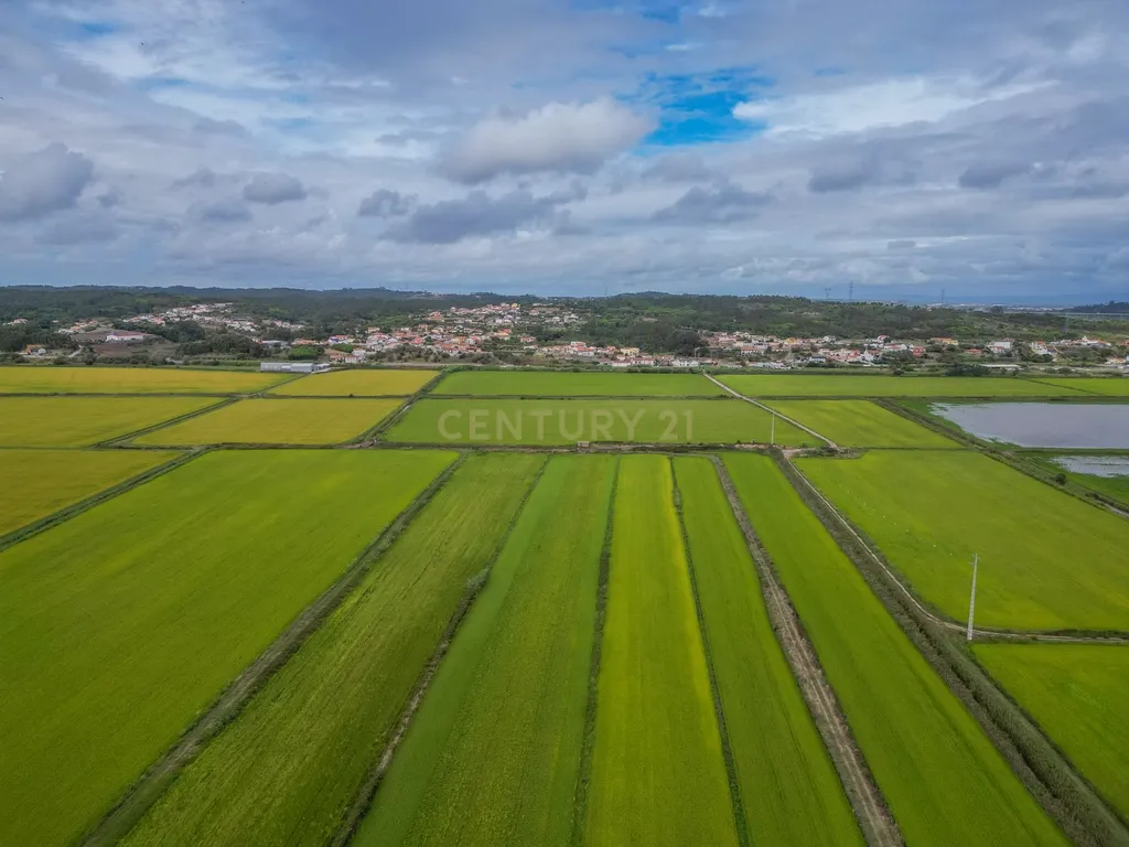 Moradia para recuperar com 250 m² em Vila Verde – Figueira da Foz - Image 54