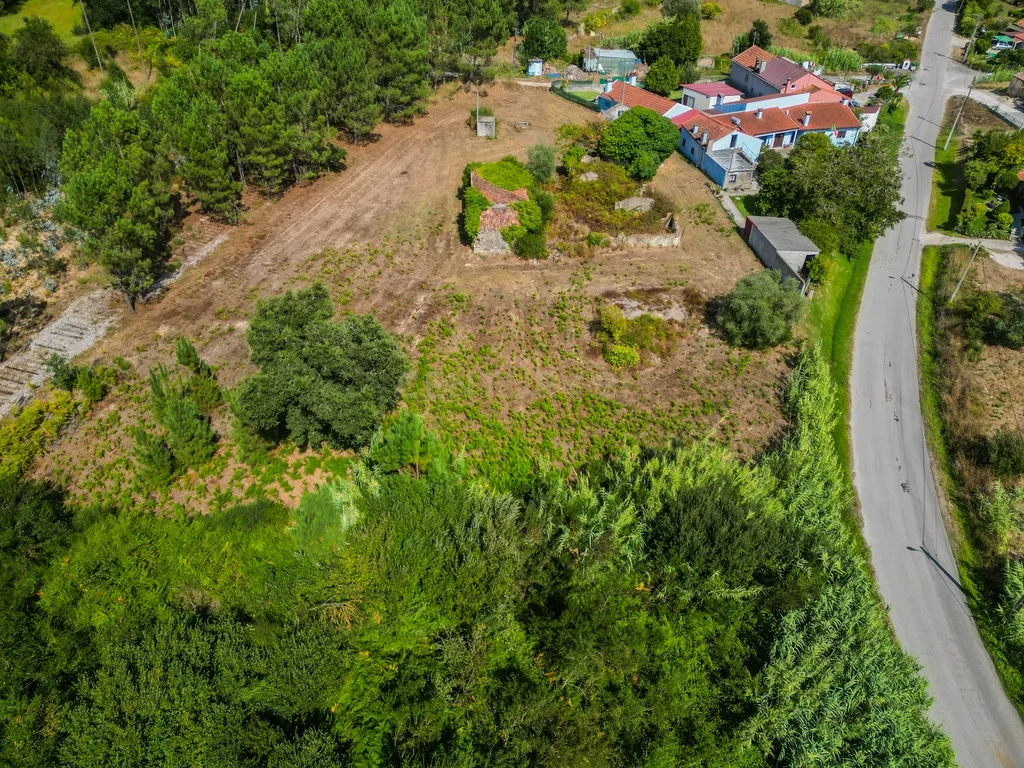 Propriedade com duas casas para reabilitar, terreno e poço na Costeira – Figueira da Foz - Image 11