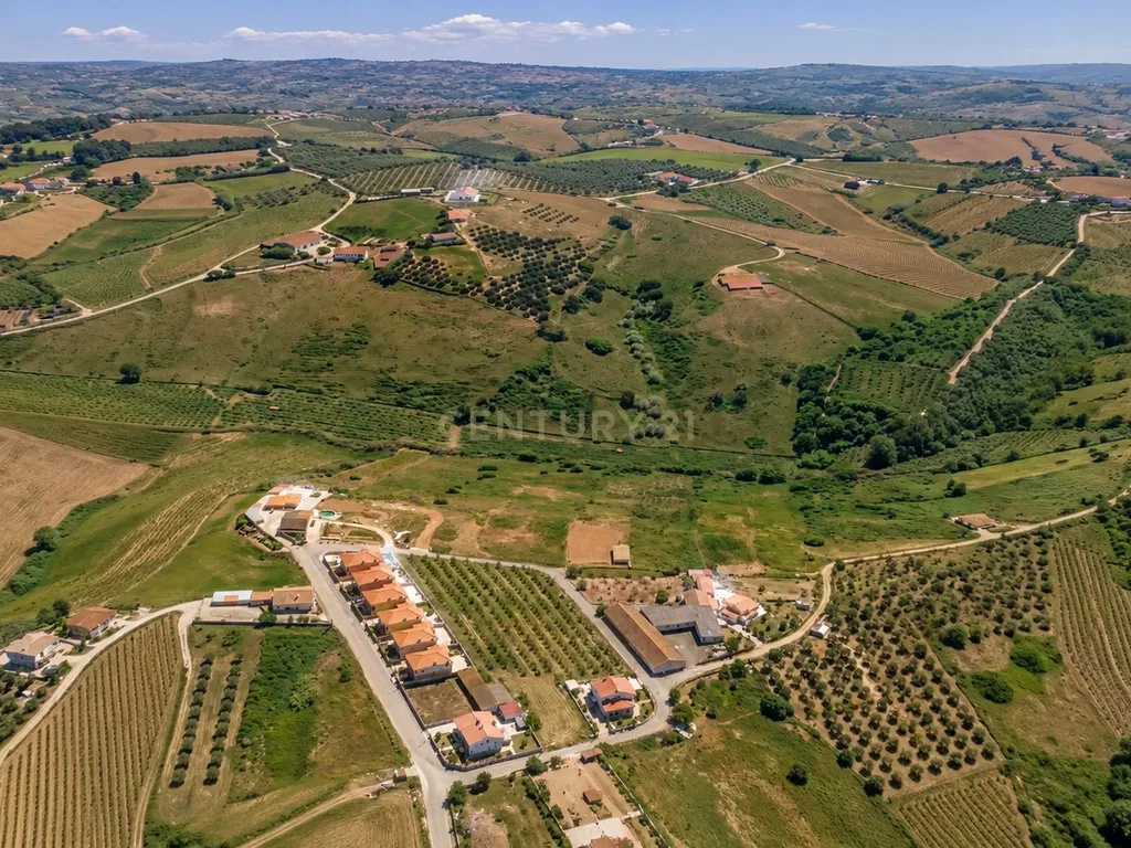 Terreno com PIP aprovado | 3.680 m² | Vista Serra de Montejunto - Image 5