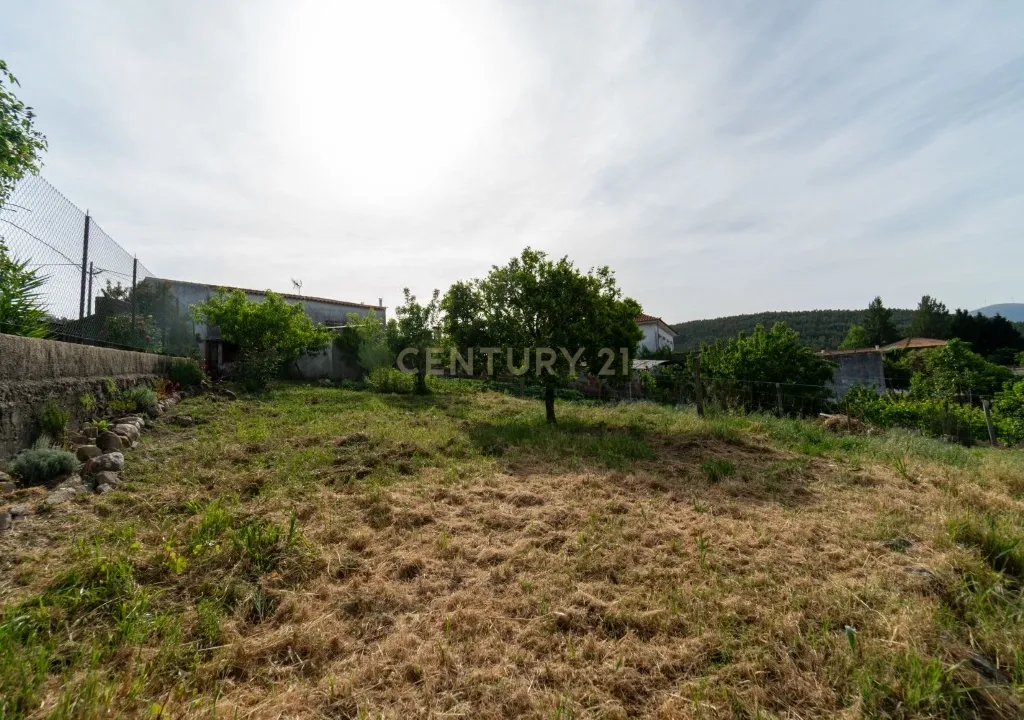 Moradia p/reconstrução com terreno no Forcado – Vila Nova de Poiares - Image 3