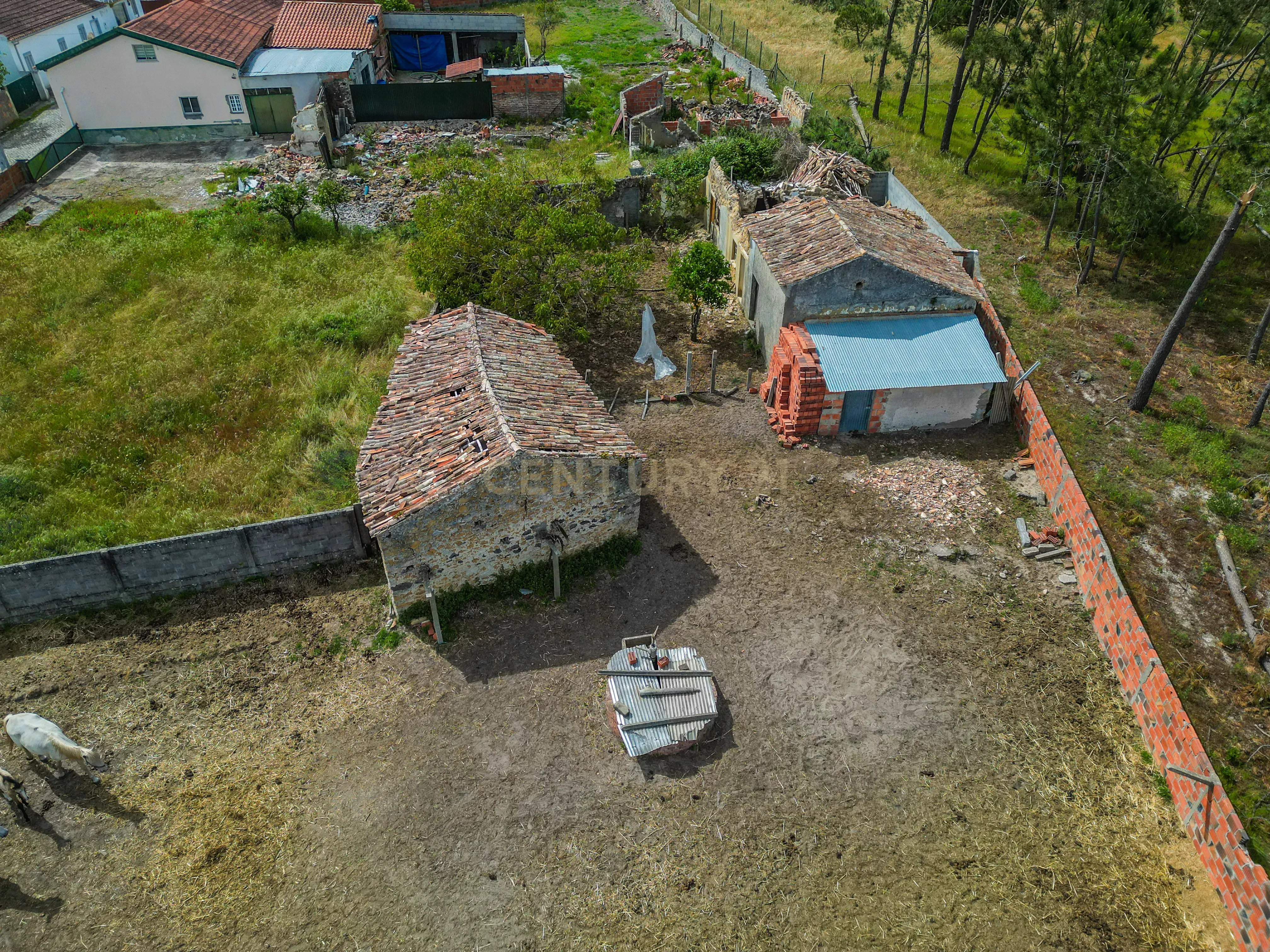 Fotografia 10 de Moradia Rústica para reabilitar em Vieira de Leiria, com terreno, a cerca de 5 minutos da Praia da Vieira