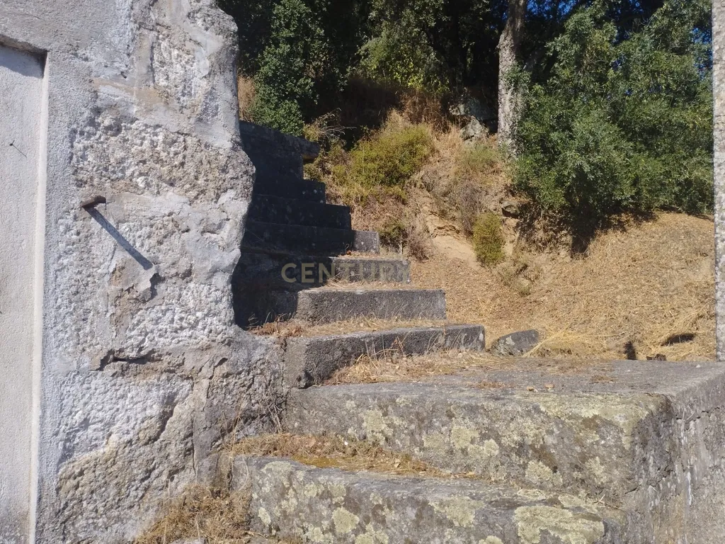 Moradia em ruina repleta de belas histórias, para reconstruir, no coração do Douro em Frende, Baião - Image 20