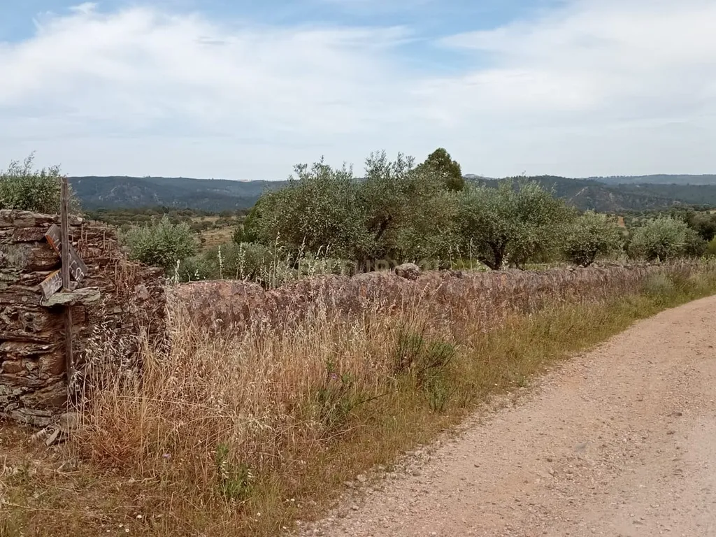 Terreno 8500m2, Lentiscais, Castelo Branco - Image 2