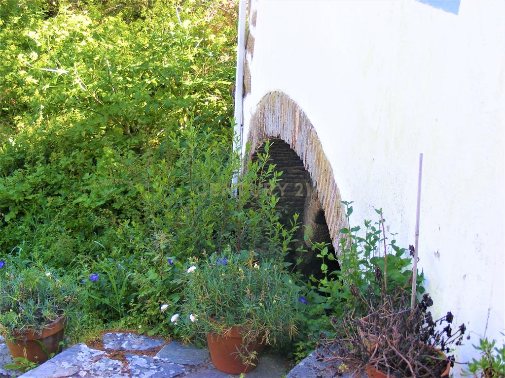 Quinta Típica Alentejana, Licença de Turismo Rural, Arrendamento, Arraiolos - Image 22