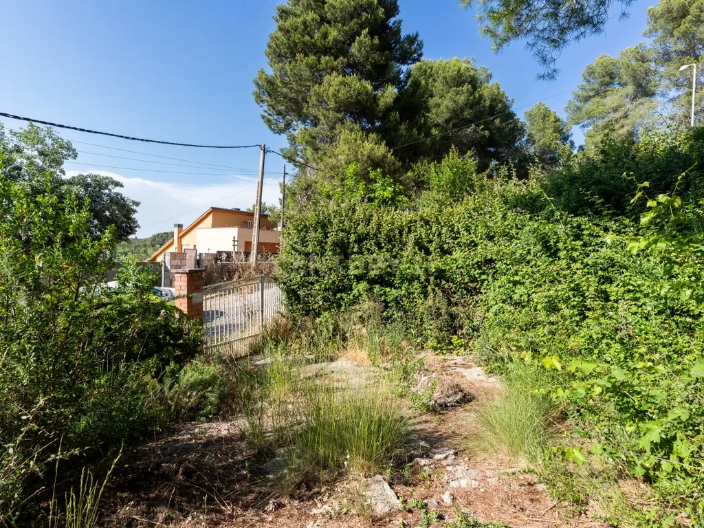 - Image 9