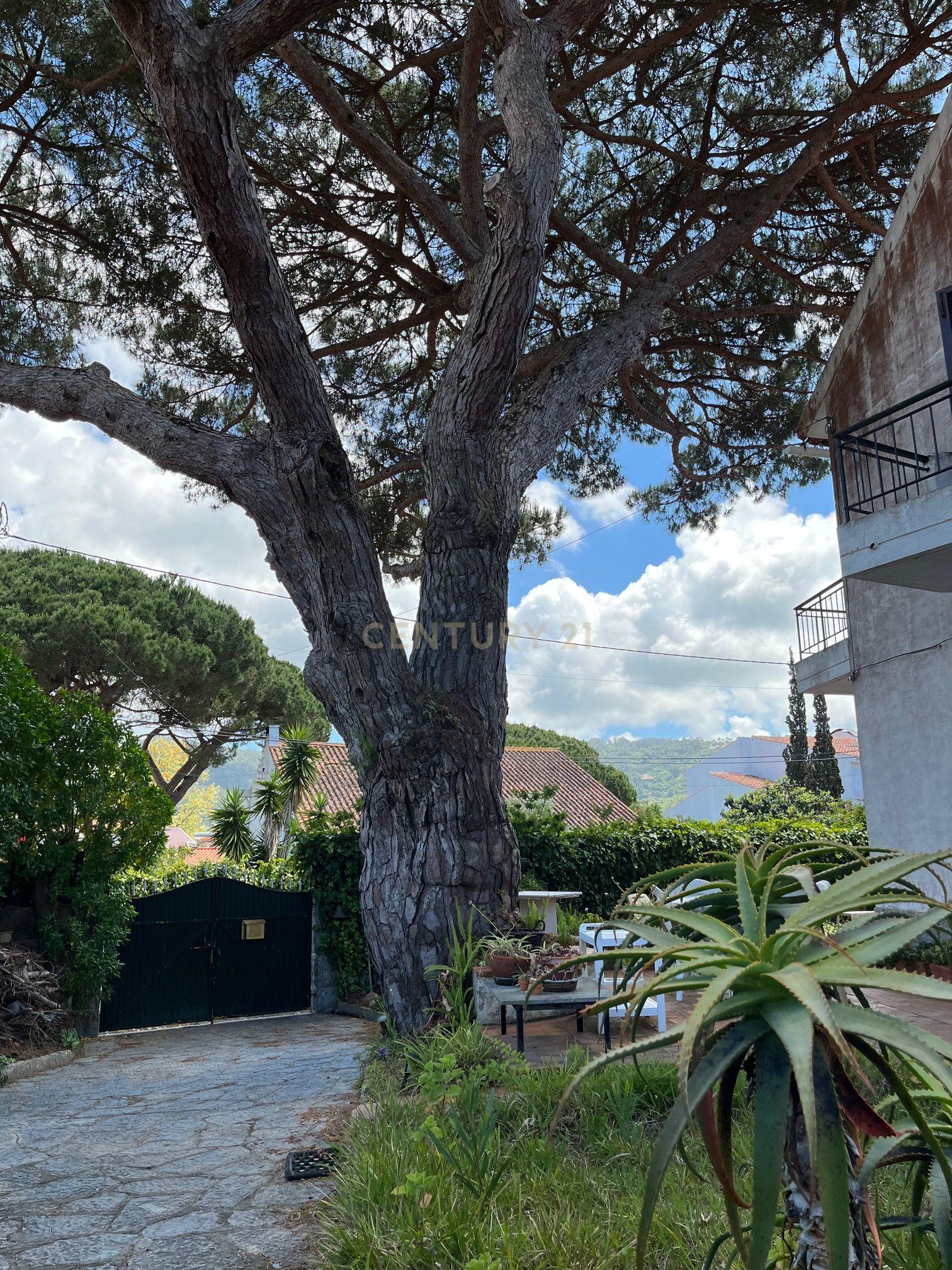 Moradia T6+ à venda em Colares, Sintra — foto 17