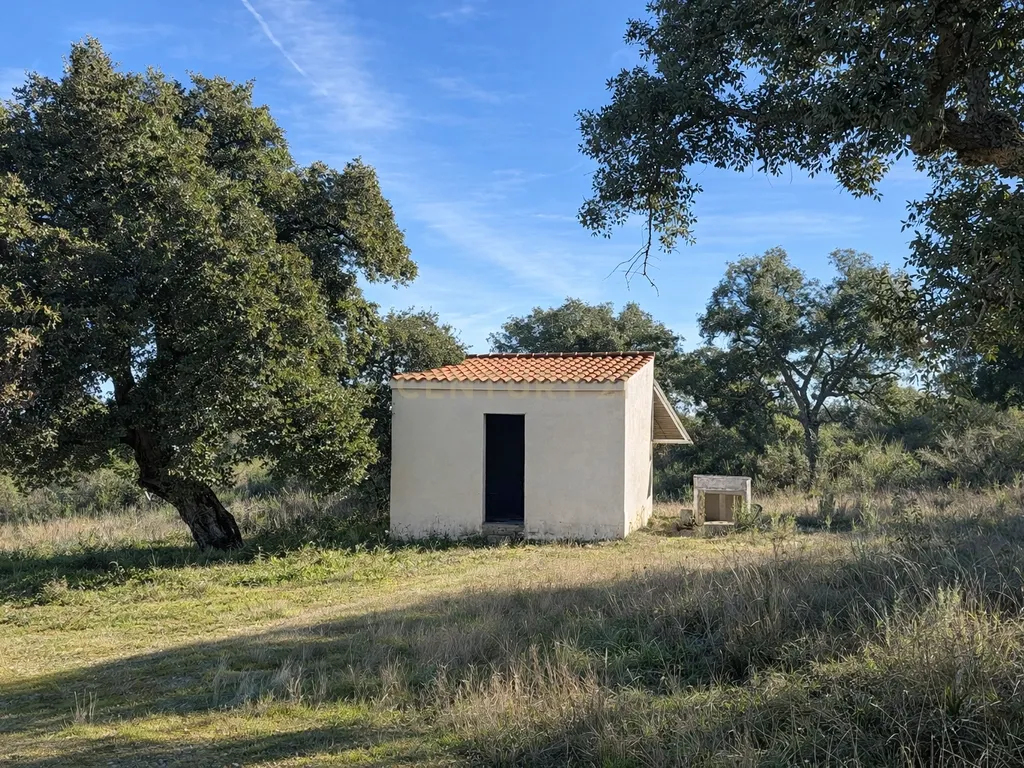 🏡 Quinta rural com casa e piscina na Serra de San Pedro (Cáceres) 🌿 - Image 28