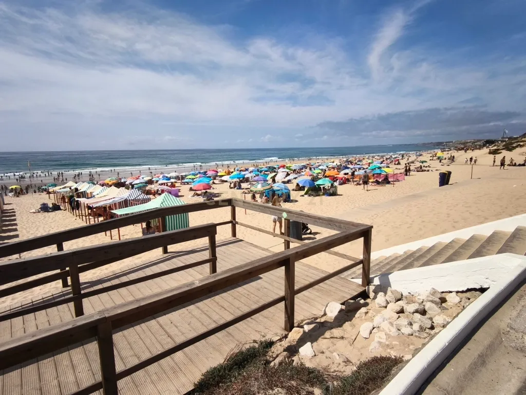 Café Snack Bar – Concessão de Praia Santa Cruz - Image 4