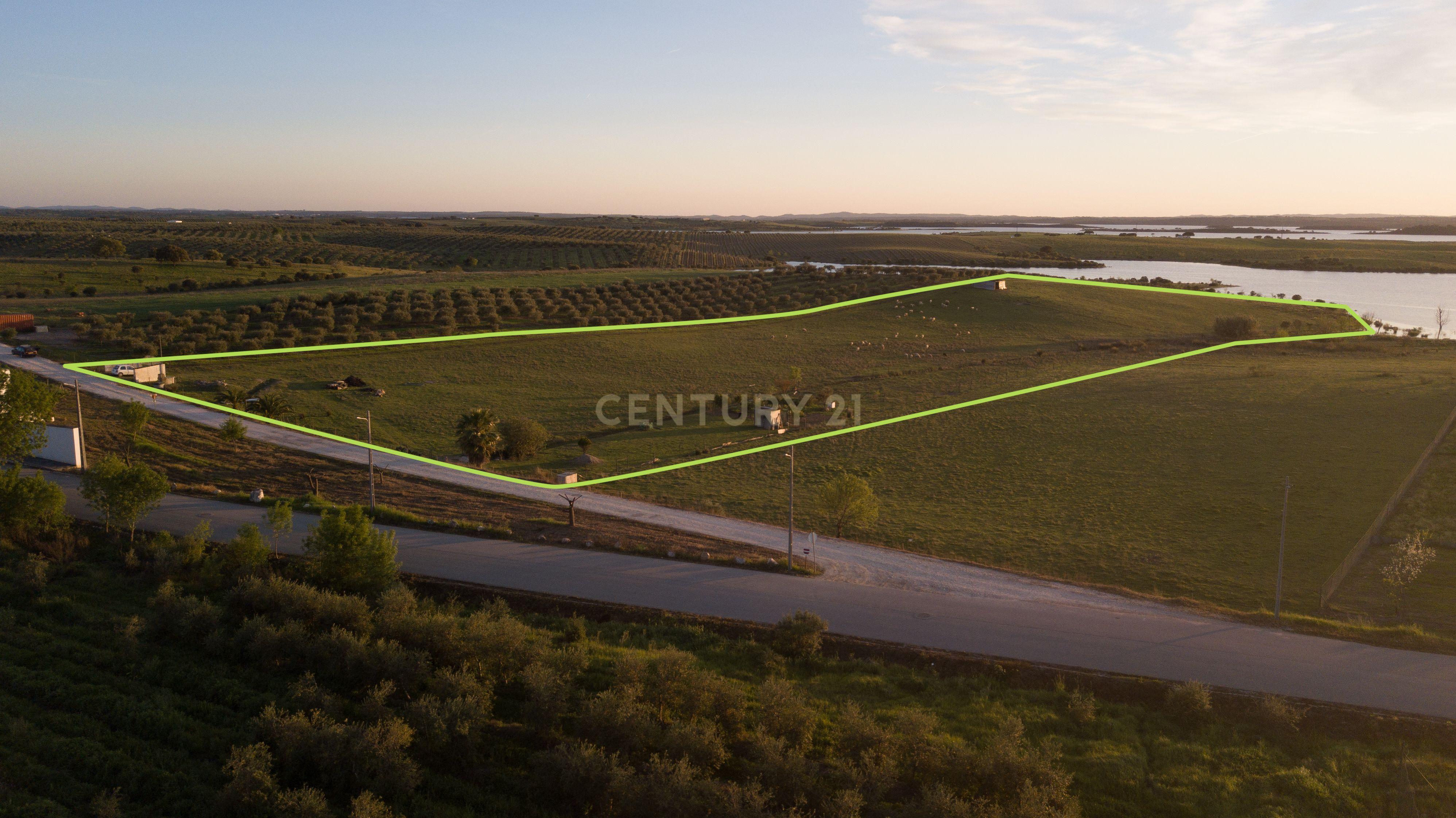 Fotografia 5 de Terreno Rústico com Vista Privilegiada para o Alqueva - Luz, Alentejo