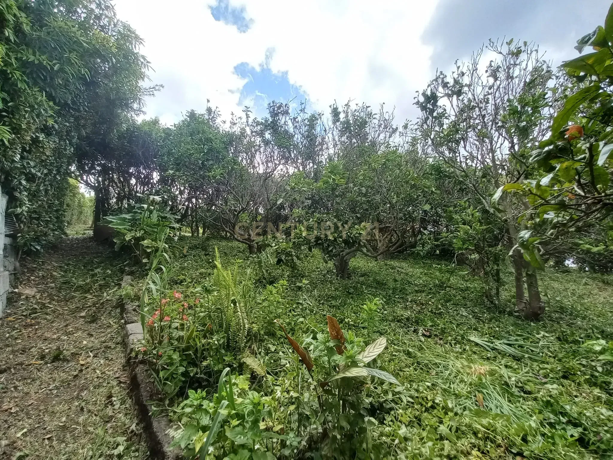 Moradia T4 à venda em Ponta Garça, Vila Franca do Campo — foto 26