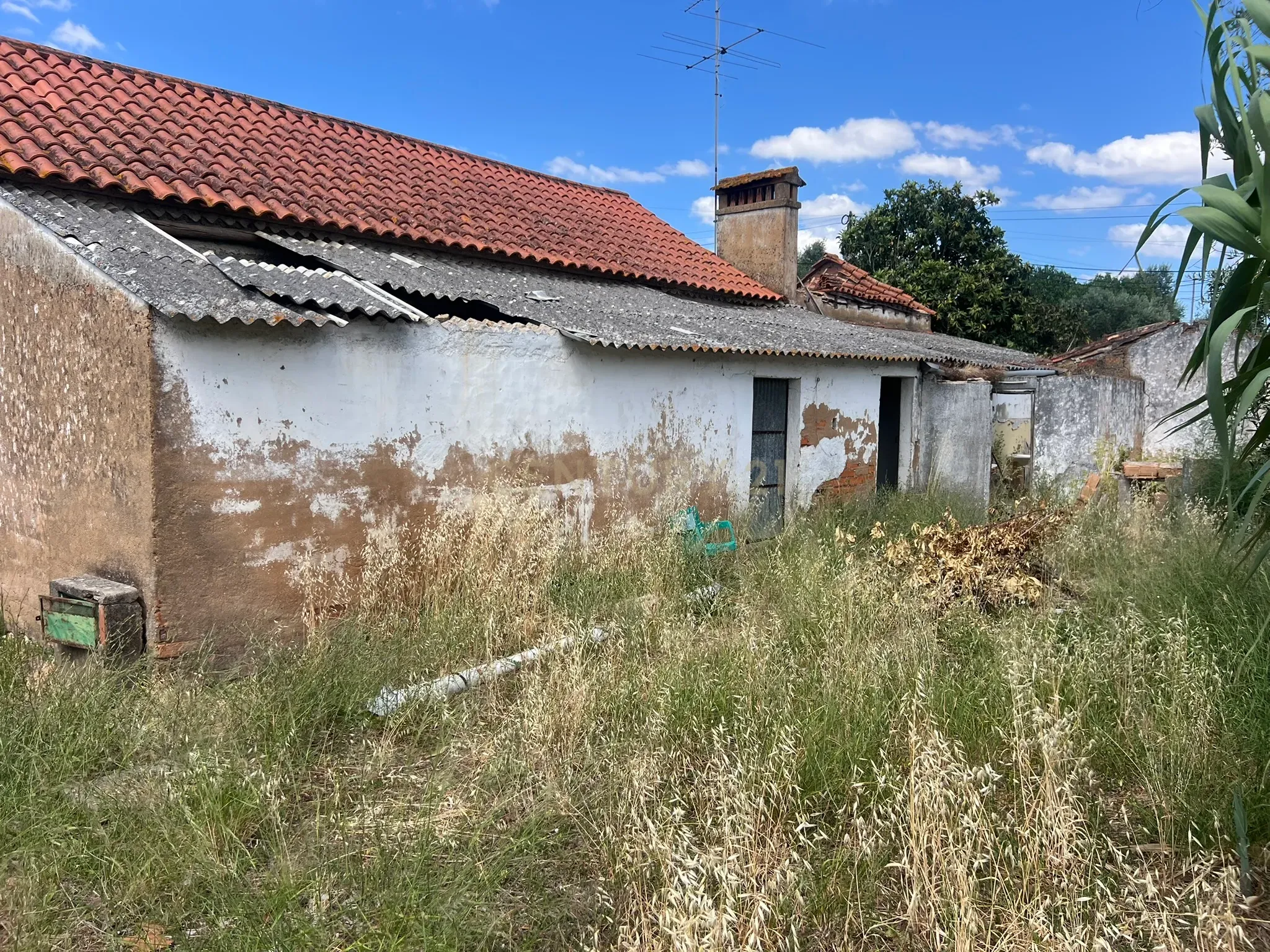 Fotografia 12 de Ruina com terreno em Tomar, União das freguesias de Madalena e Beselga