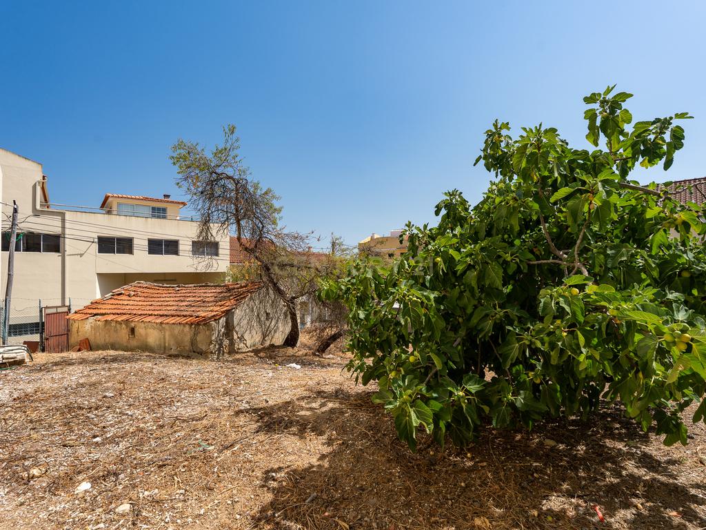 **ESPECTACULAR TERRENO EM LOURES** - Image 6