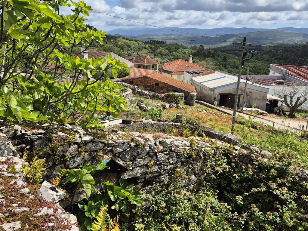 Oportunidade Única - Refúgio com vista para a Serra de Sicó, em Cotas, Pombalinho.  - Image 13