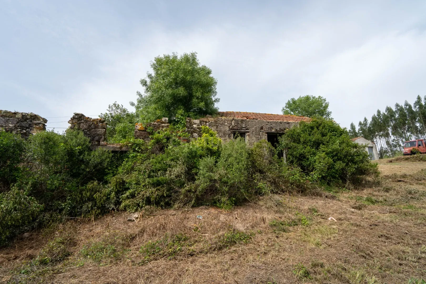 Fotografia 12 de Terreno com furo de água e duas pequenas edificações em ruina para reabilitar