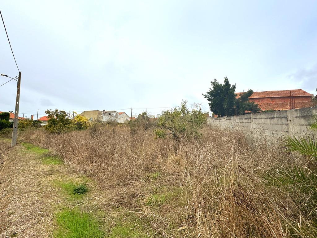 Terreno para Construção com 1300m² em Montes de Alcobaça – Vista Serra dos Candeeiros - Image 3
