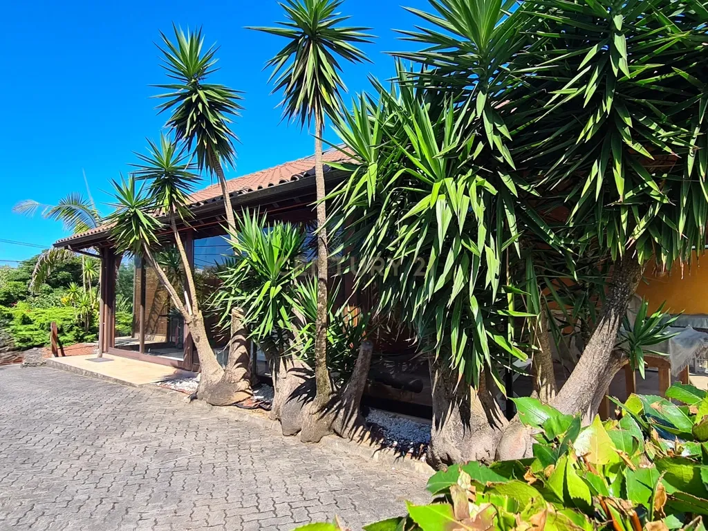 Country House em São Miguel, Açores: Refúgio Privado de Charme com piscina e quinta - Image 15