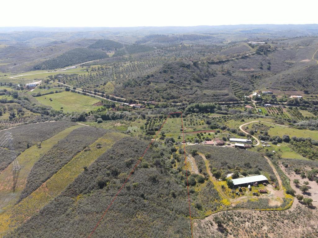 Oportunidade Única – Quinta com Potencial e Ribeira Natural - Image 10