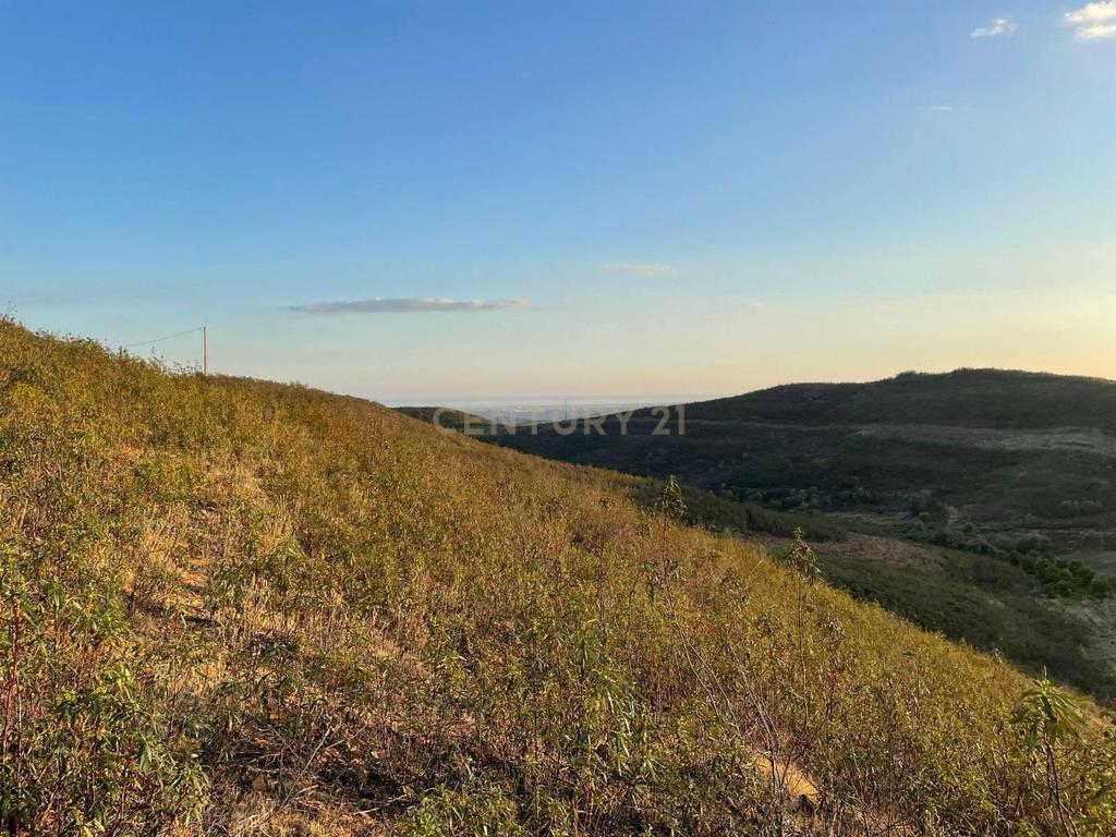 Terreno Urbano em Tavira - com possibilidade de investimento - Image 2