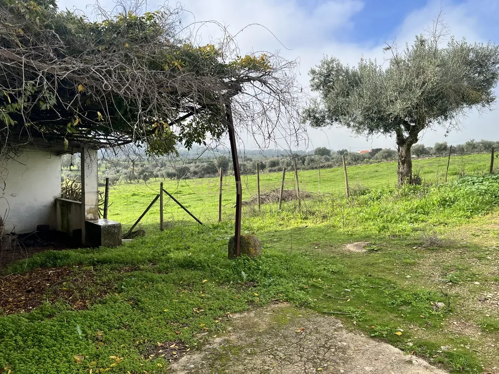 Magnífica Quinta em Monforte com Vista Panorâmica e Piscina - Image 12