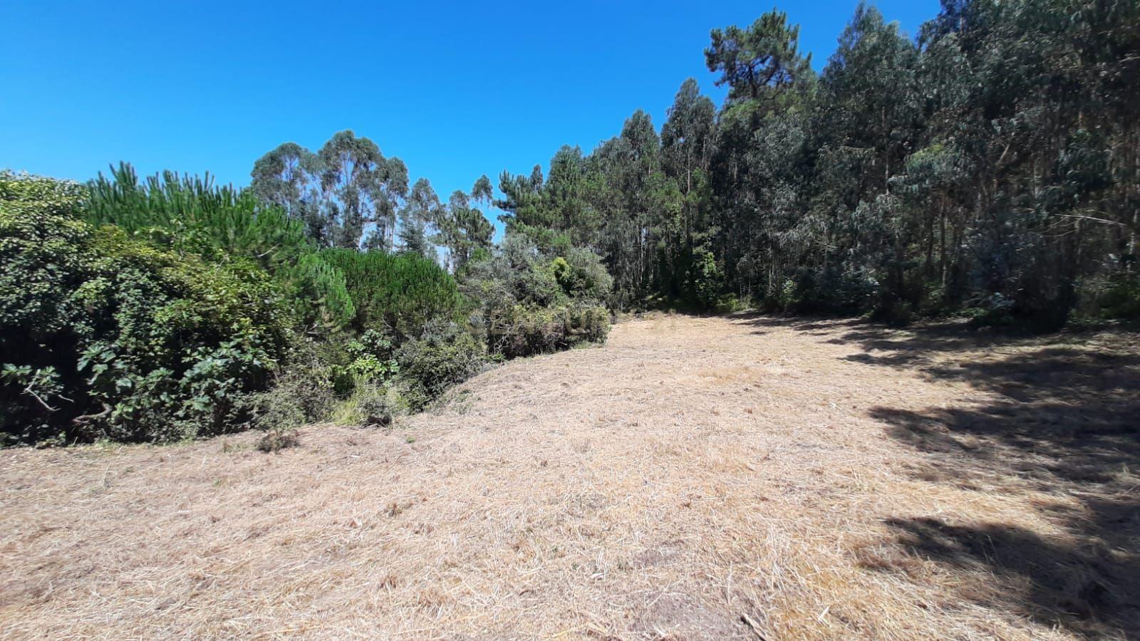 Fotografia 8 de Terreno com projeto aprovado de Moradia Isolada T3 - Picão