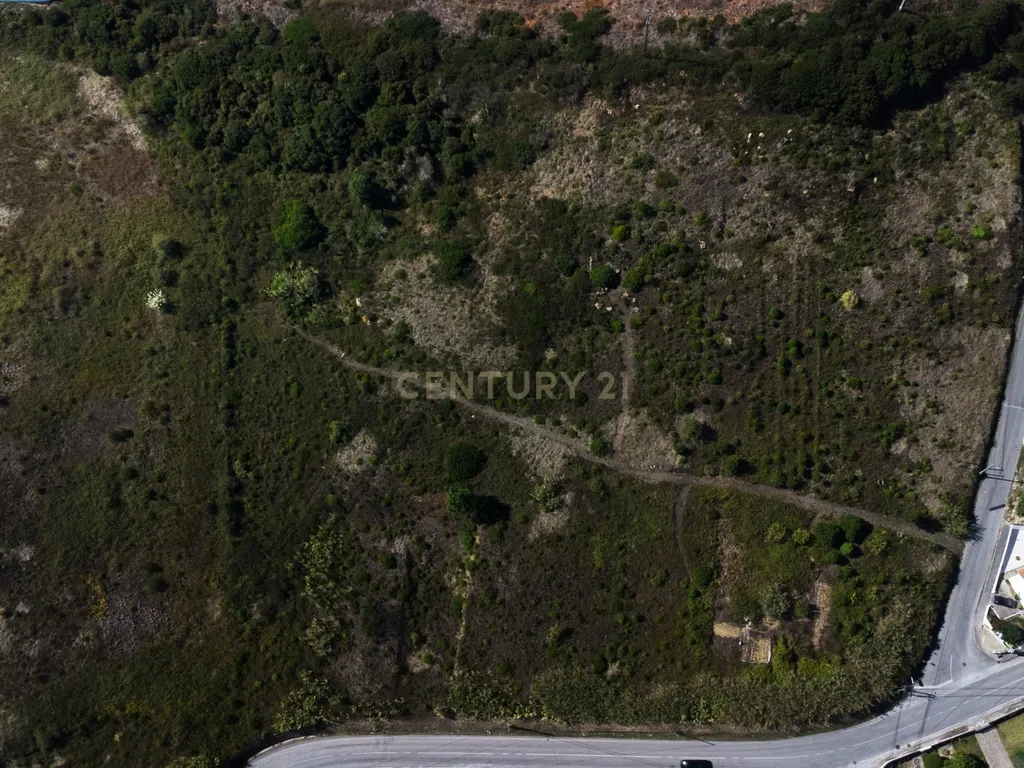 🏗️ Terreno Urbanizável com Viabilidade para 17 Moradias – Varatojo, Torres Vedras - Image 7